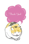 ねこ「ThankYou」
