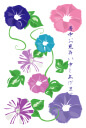 暑中見舞い・朝顔2