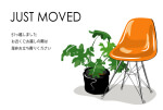 転居報告・椅子と観葉植物