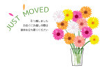 転居報告・花瓶のガーベラ